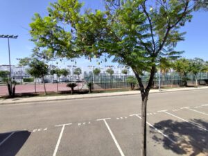 Bungalow en venta en Condado de Alhama, Alhama de Murcia