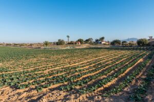 Casa con terreno en venta en Alhama de Murcia, Alhama de Murcia