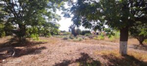 Casa con terreno en venta en Ermita Roca, Sangonera la Seca