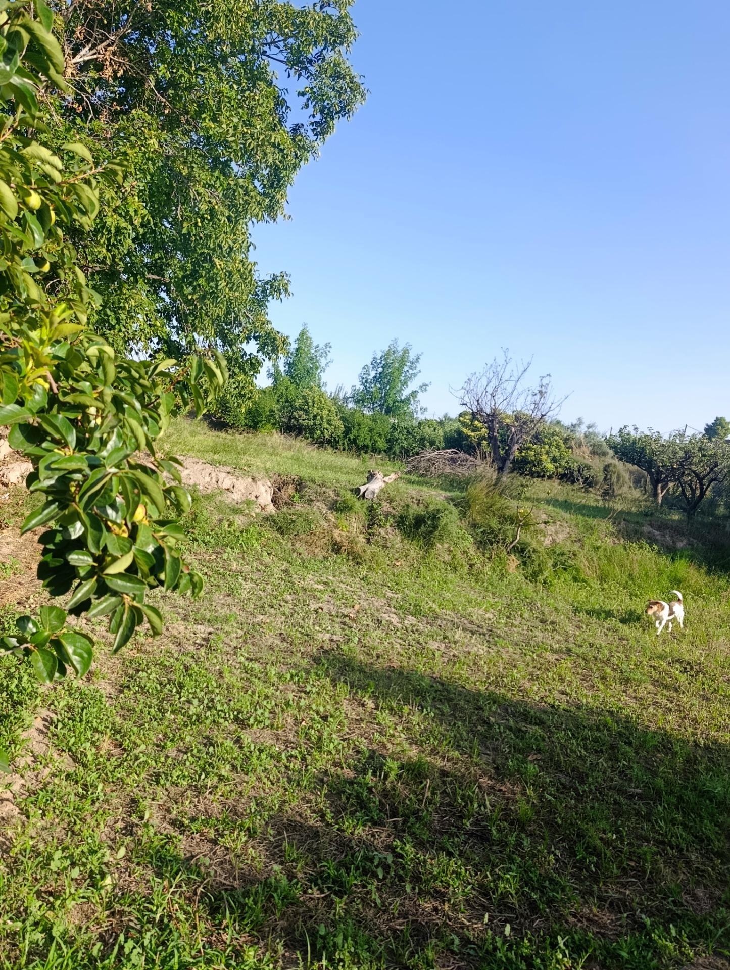 Casa de campo en venta en Cehegín, Cehegin