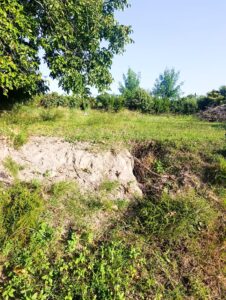 Casa de campo en venta en Cehegín, Cehegin