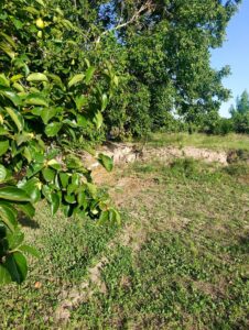 Casa de campo en venta en Cehegín, Cehegin