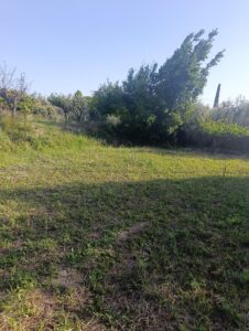 Casa de campo en venta en Cehegín, Cehegin