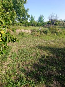 Casa de campo en venta en Cehegín, Cehegin