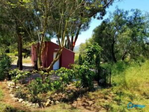 Casa de campo en venta en LAS PALAS, Fuente alamo de Murcia