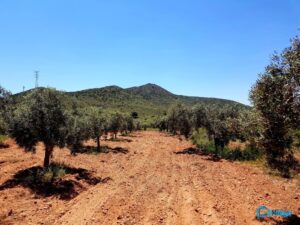 Casa de campo en venta en LAS PALAS, Fuente alamo de Murcia