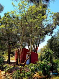 Casa de campo en venta en LAS PALAS, Fuente alamo de Murcia