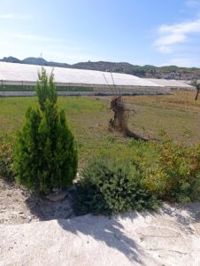 Casa en venta en OTRAS, Cehegin