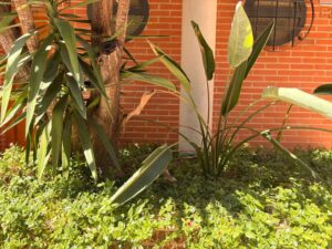 Chalet en venta en Churra, Murcia