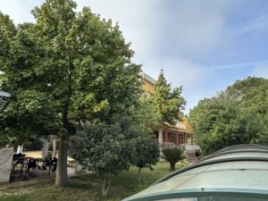 Chalet en venta en La Albatalía, Murcia