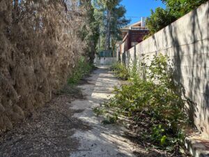 Chalet en venta en La Alberca, Murcia
