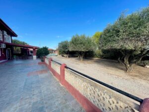 Chalet en venta en La paloma, El Palmar