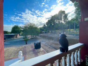 Chalet en venta en La paloma, El Palmar