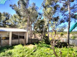 Chalet en venta en Mula centro, Mula