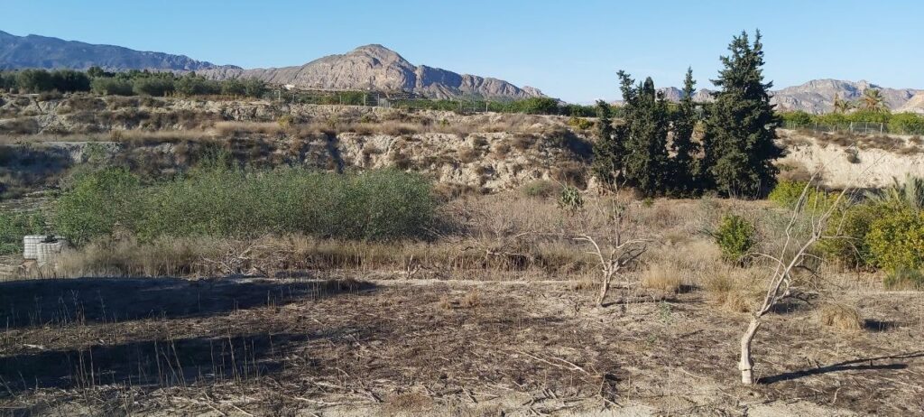 Finca rústica en venta en Archena, Archena