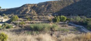 Finca rústica en venta en Archena, Archena