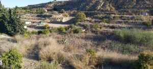 Finca rústica en venta en Archena, Archena