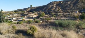 Finca rústica en venta en Archena, Archena