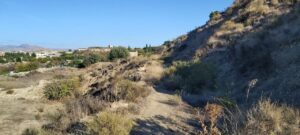 Finca rústica en venta en Archena, Archena