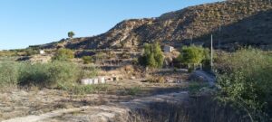 Finca rústica en venta en Archena, Archena