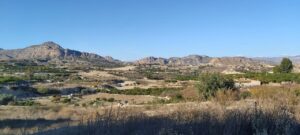 Finca rústica en venta en Archena, Archena