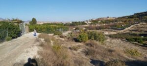 Finca rústica en venta en Archena, Archena