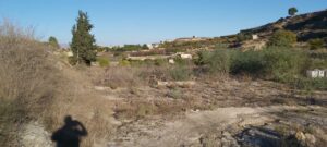 Finca rústica en venta en Archena, Archena