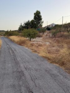 Finca rústica en venta en Extraradio, Mula
