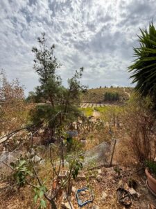 Finca rústica en venta en Extraradio, Mula