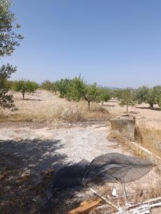 Finca rústica en venta en La Copa, Bullas
