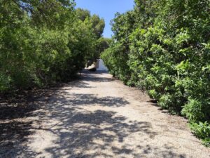 Finca rústica en venta en Las Lomas del Rame-Bahía Bella, Los Alcázares