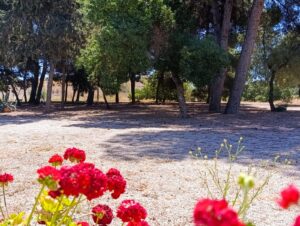 Finca rústica en venta en Las Lomas del Rame-Bahía Bella, Los Alcázares