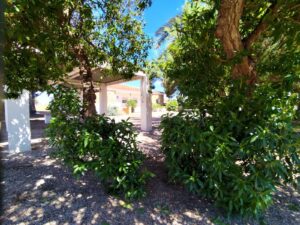 Finca rústica en venta en Las Lomas del Rame-Bahía Bella, Los Alcázares