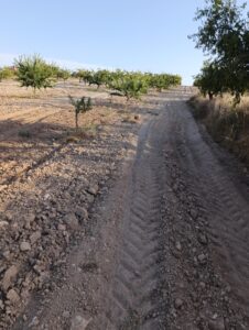 Finca rústica en venta en OTRAS, Bullas