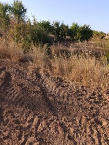 Finca rústica en venta en OTRAS, Bullas