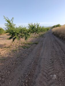 Finca rústica en venta en OTRAS, Bullas