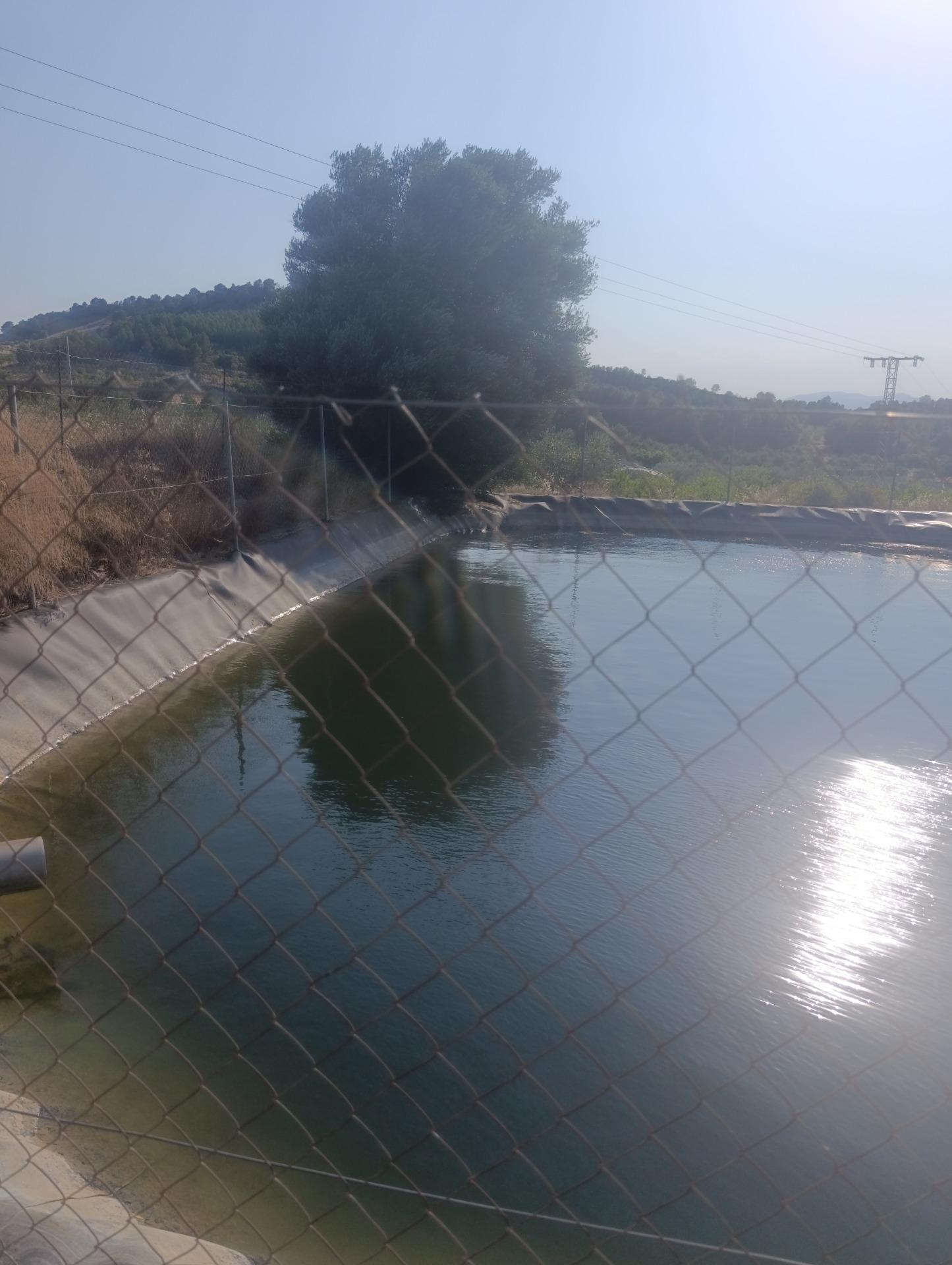 Finca rústica en venta en OTRAS, Cehegin