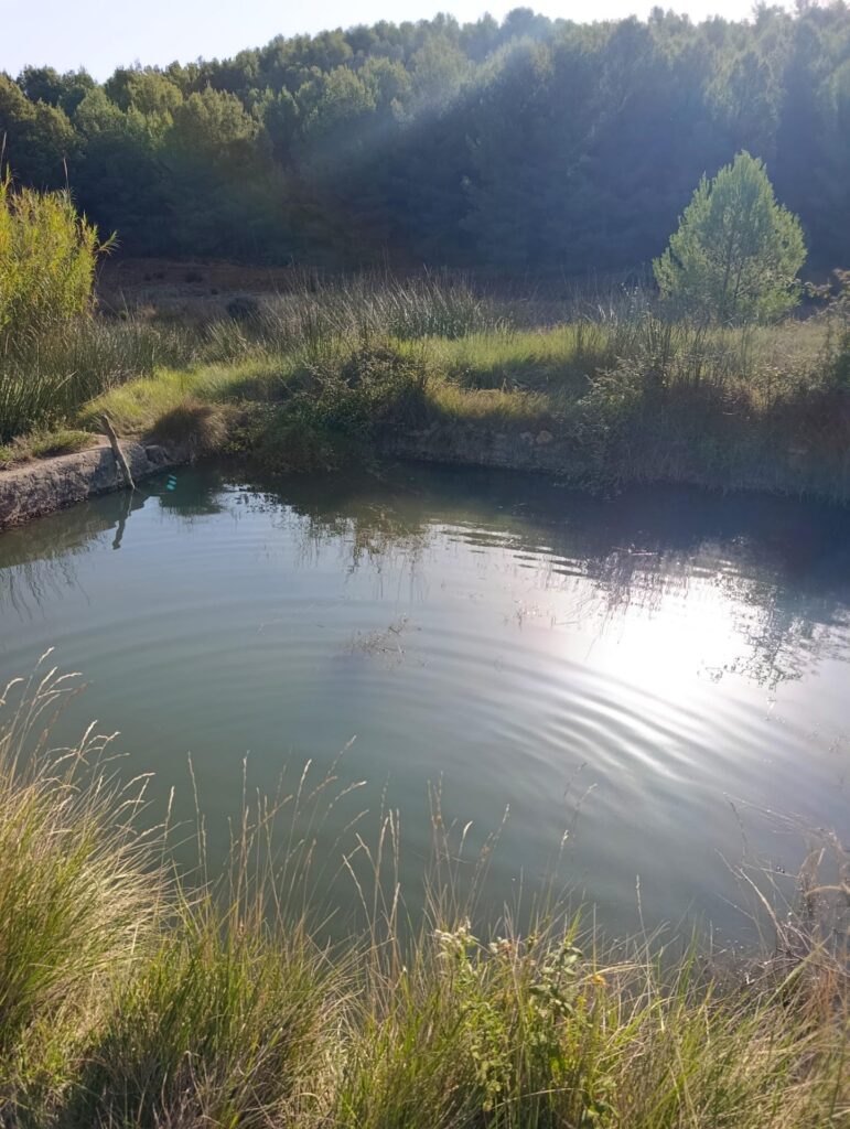 Finca rústica en venta en OTRAS, Cehegin