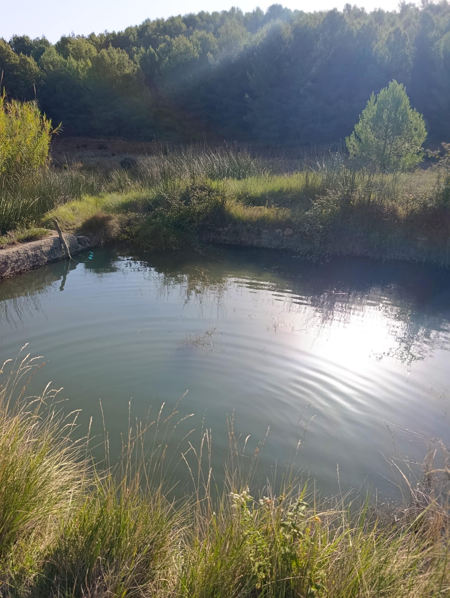 Finca rústica en venta en OTRAS, Cehegin
