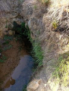 Finca rústica en venta en OTRAS, Cehegin