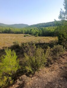 Finca rústica en venta en OTRAS, Cehegin