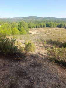 Finca rústica en venta en OTRAS, Cehegin