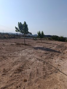 Finca rústica en venta en OTRAS, Cehegin