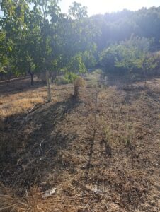 Finca rústica en venta en OTRAS, Cehegin