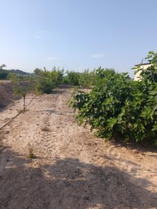 Finca rústica en venta en OTRAS, Cehegin