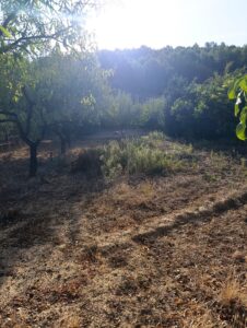 Finca rústica en venta en OTRAS, Cehegin