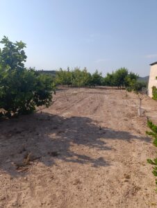 Finca rústica en venta en OTRAS, Cehegin