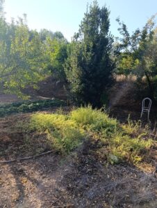 Finca rústica en venta en OTRAS, Cehegin