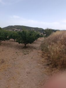 Finca rústica en venta en OTRAS, Cehegin
