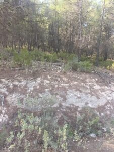 Finca rústica en venta en OTRAS, Cehegin